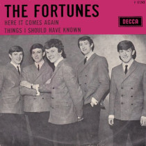 FORTUNES - HERE IT COMES AGAIN / THINGS I SHOULD HAVE KNOWN 7"